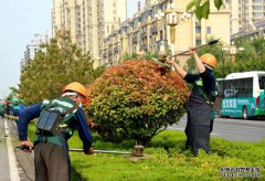 青州市：黨建紅+園林綠+環(huán)衛(wèi)橙，合力打造全域花園城市